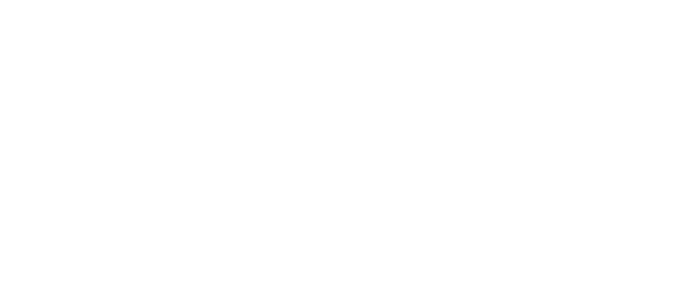 Health Data Hub (Plateforme des données de santé)