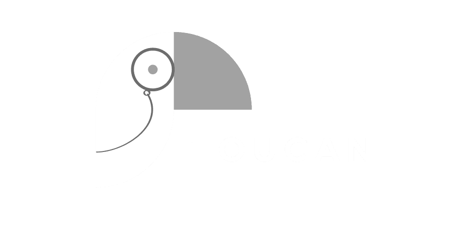 Toucan