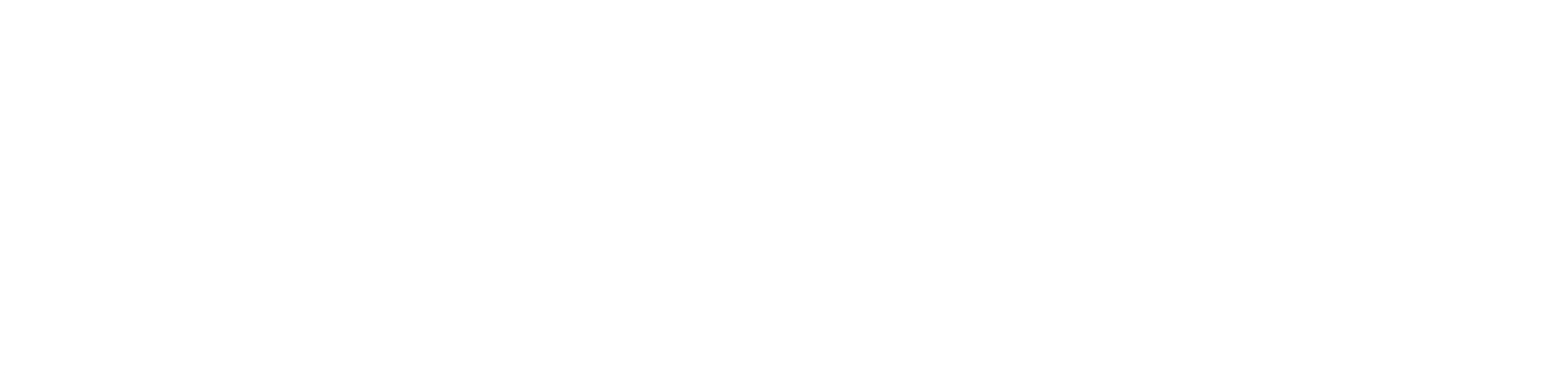 Black Forest labs