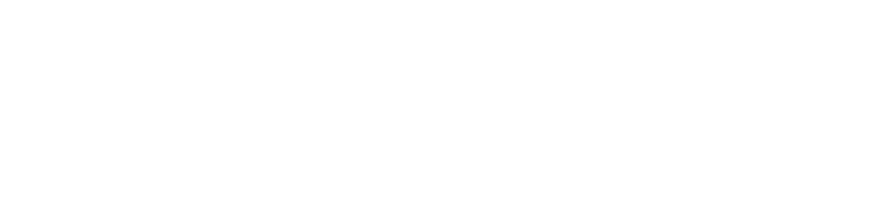 Saturn Dynamics