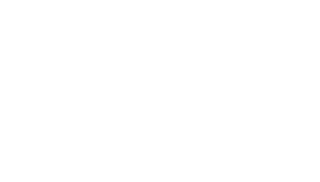 dfm europe