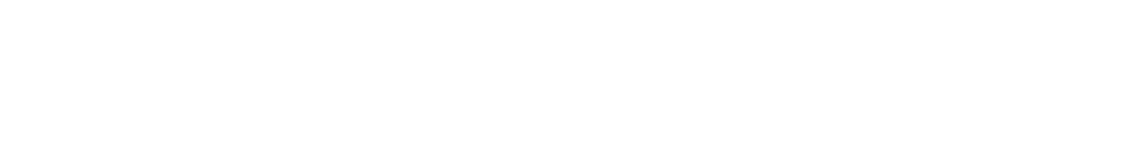 Senacor Technologies AG