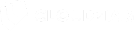 Cloud Iam